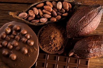 Assorted Cocoa Products and Raw Cacao Pods