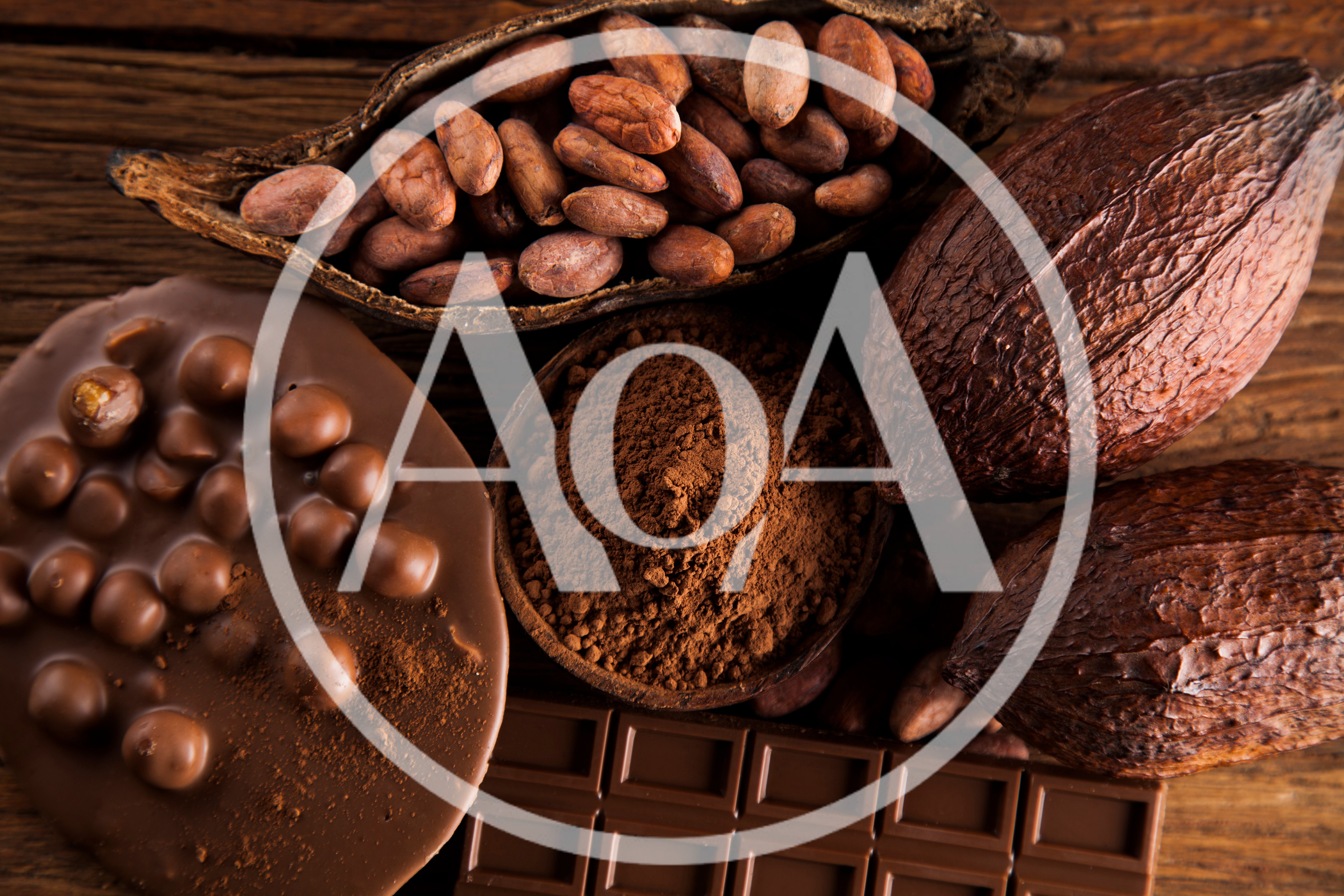 Assorted Cocoa Products and Raw Cacao Pods