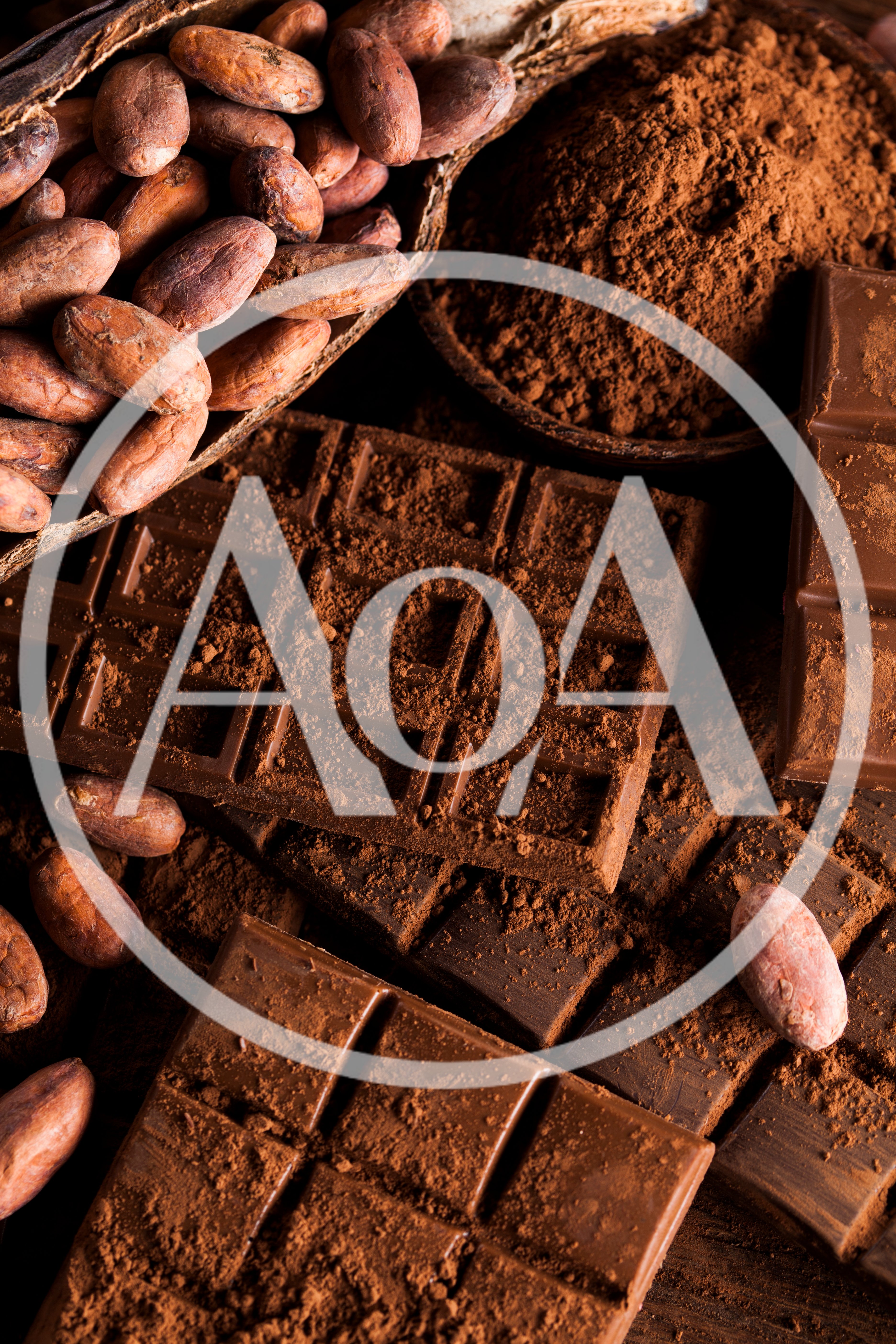 Cocoa Beans and Chocolate Bars with Cocoa Powder