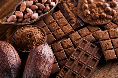 Assorted Dark Chocolate Bars And Raw Cacao Beans