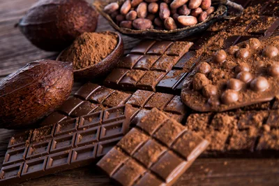 Assorted Dark Chocolate Bars and Raw Cacao Beans