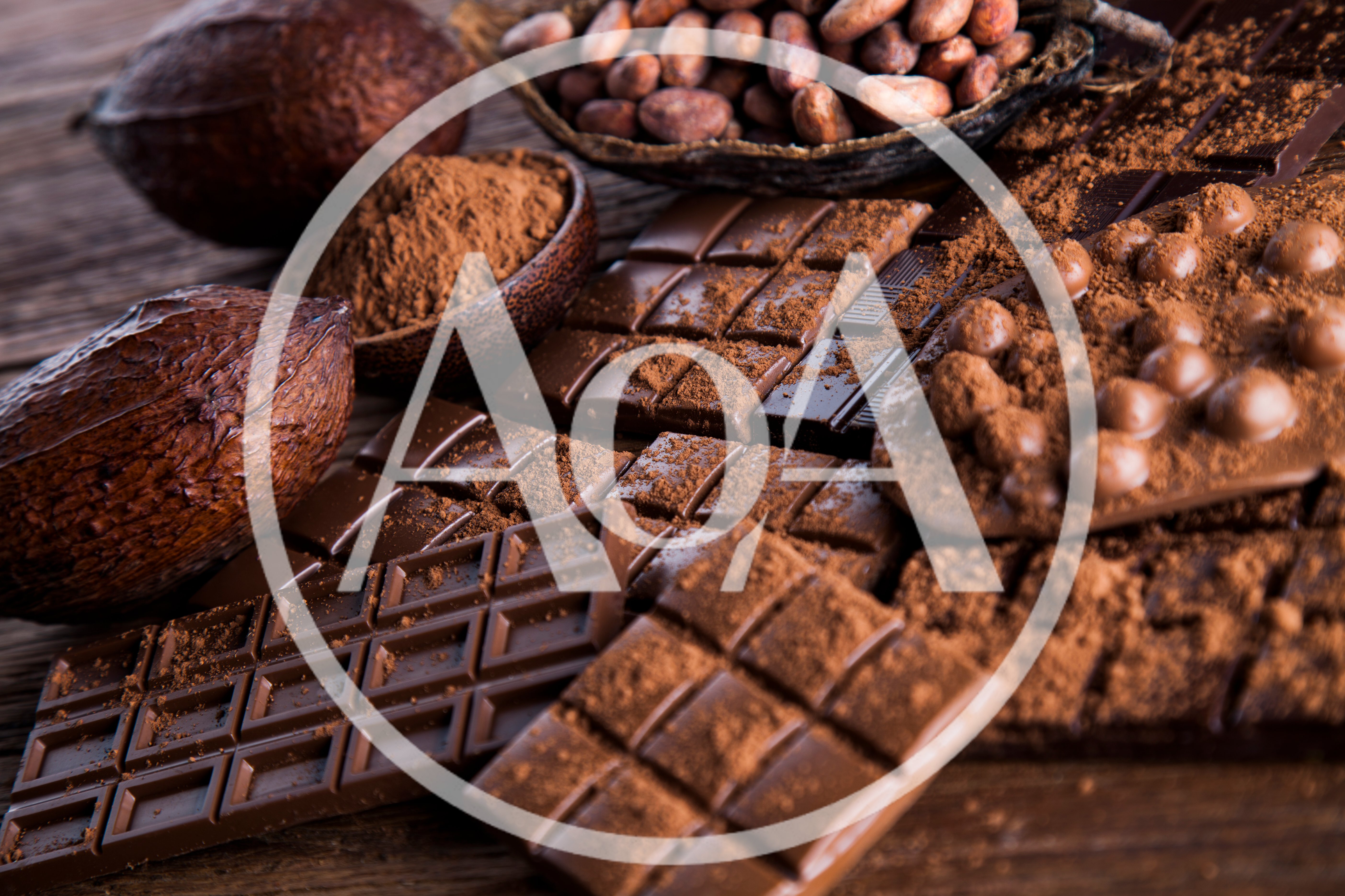 Assorted Dark Chocolate Bars and Raw Cacao Beans