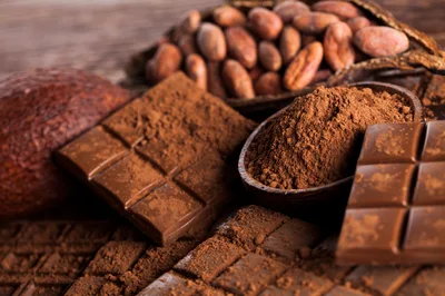 Chocolate Bars and Cocoa Powder with Cacao Beans