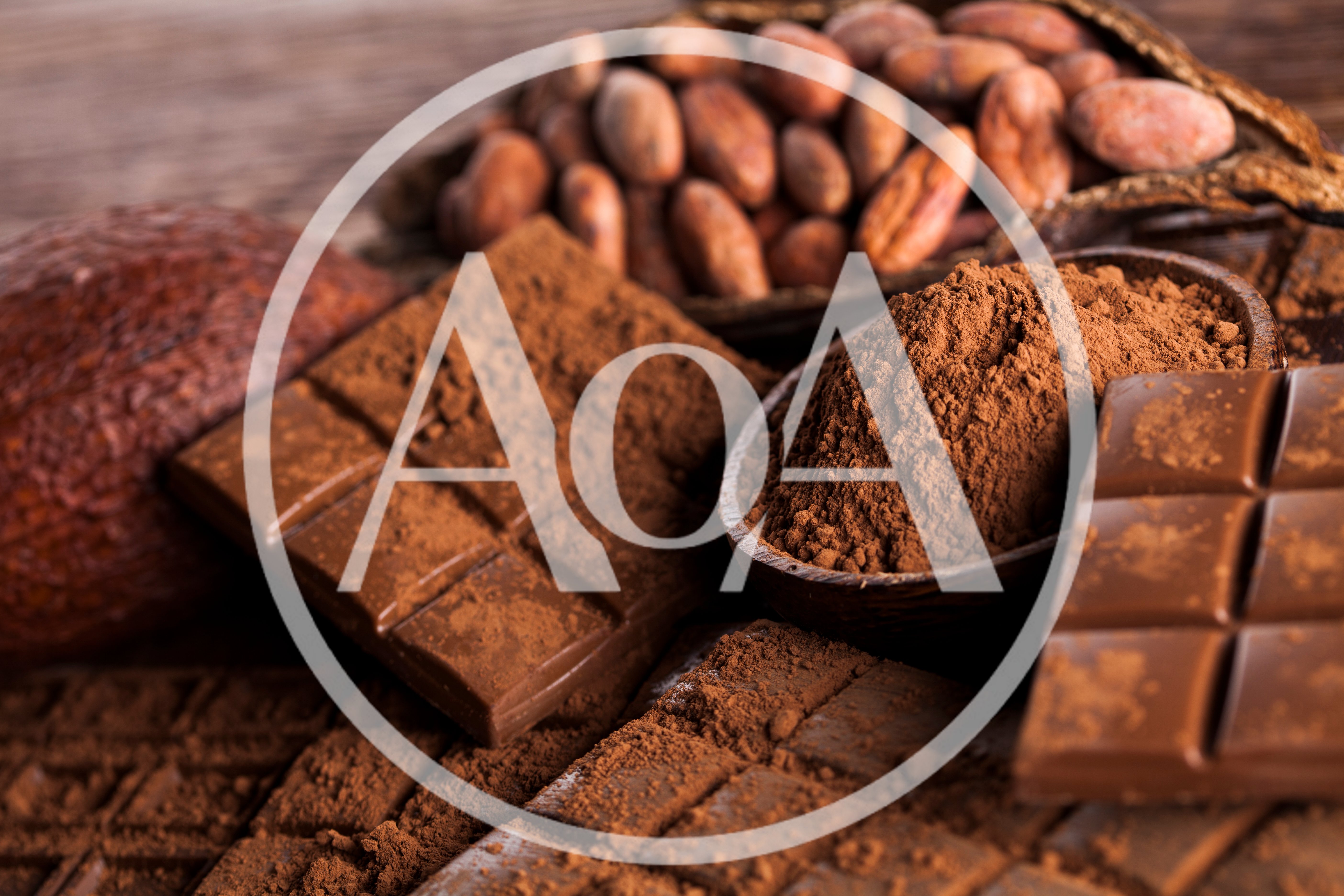Chocolate Bars and Cocoa Powder with Cacao Beans