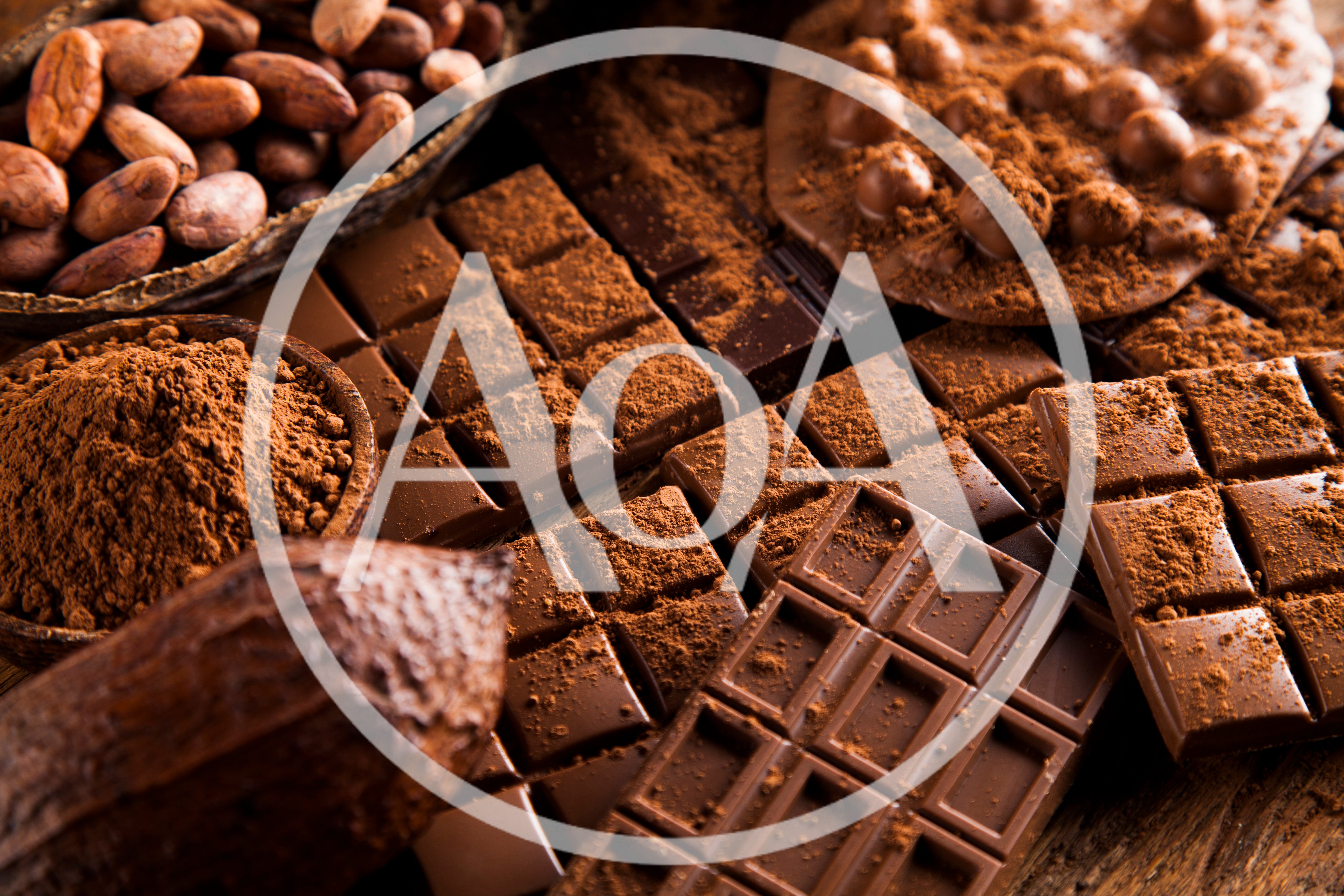 Assorted Cocoa Beans And Dark Chocolate Bars