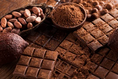 Assorted Cocoa Beans and Dark Chocolate Bars