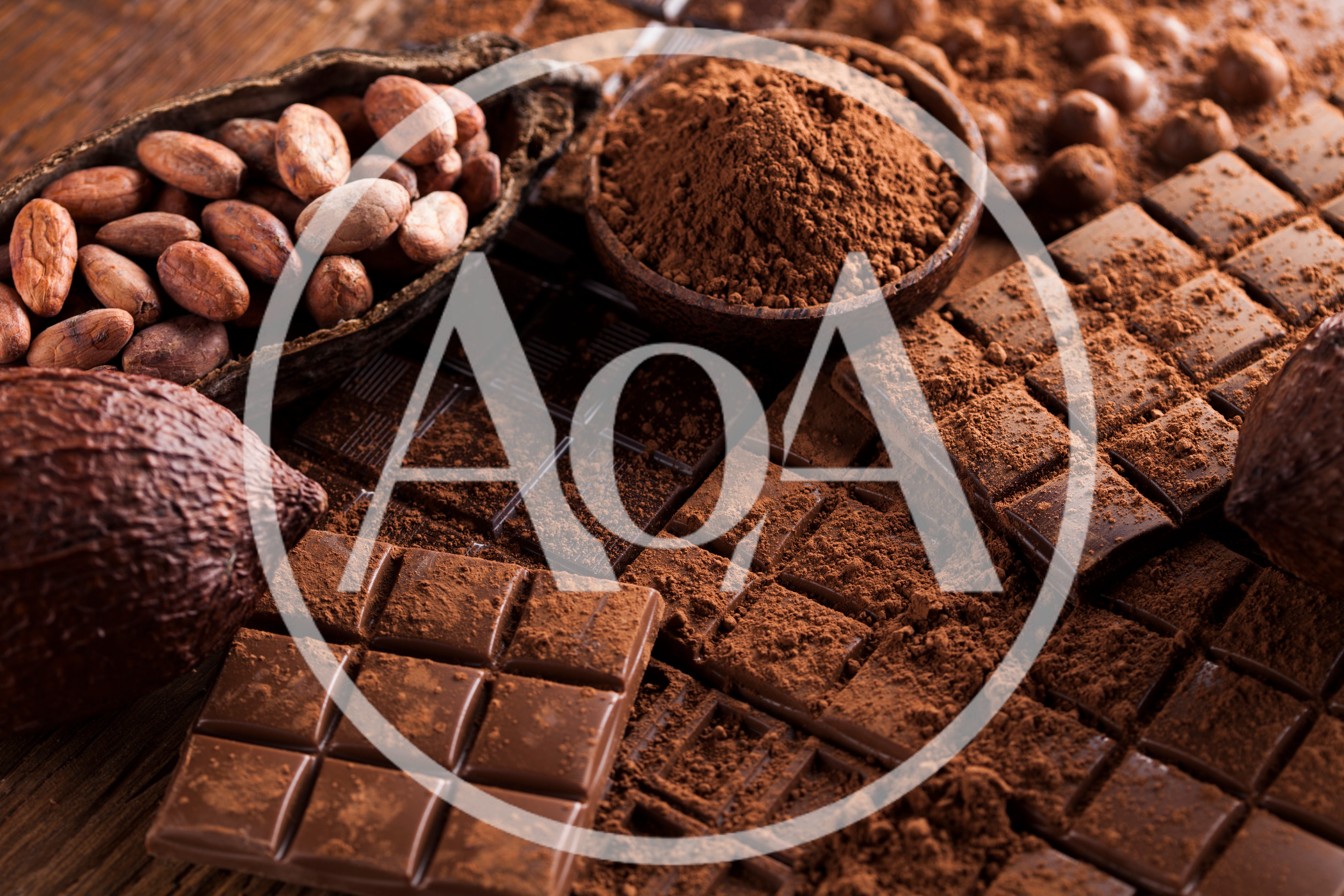 Assorted Cocoa Beans and Dark Chocolate Bars