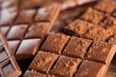 Dark Chocolate Bars Dusted With Cocoa Powder