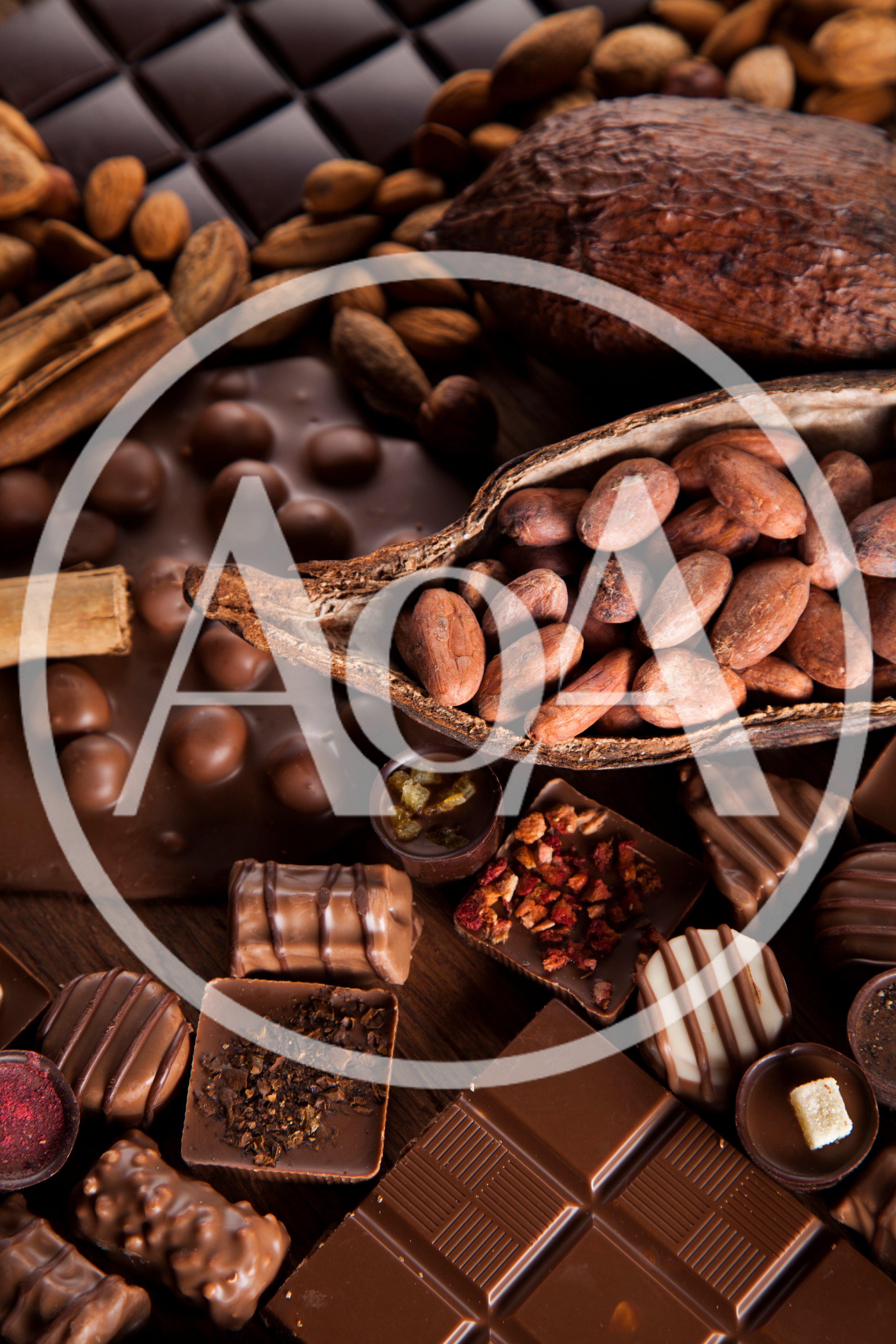 Assorted Gourmet Chocolates and Raw Cacao Beans