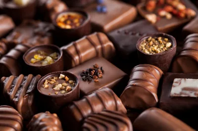 Assorted Gourmet Chocolate Truffles and Pralines