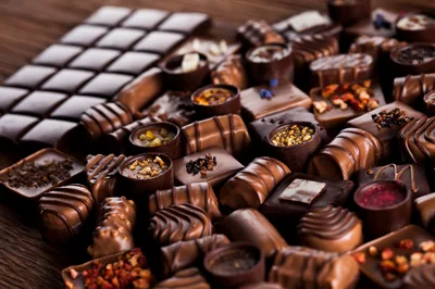 Assorted Gourmet Chocolate Pralines and Bars