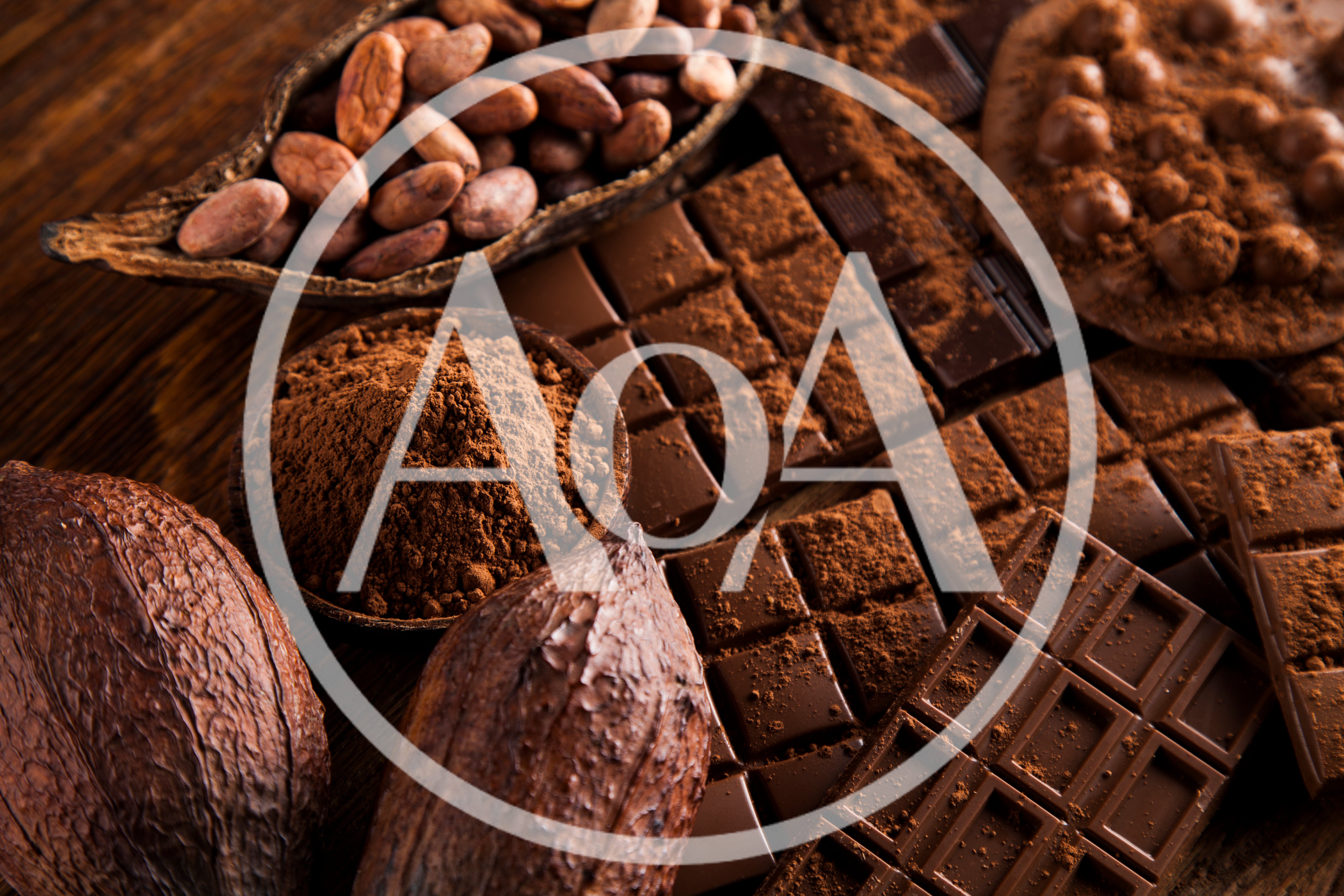 Assorted Cocoa Beans And Dark Chocolate Bars