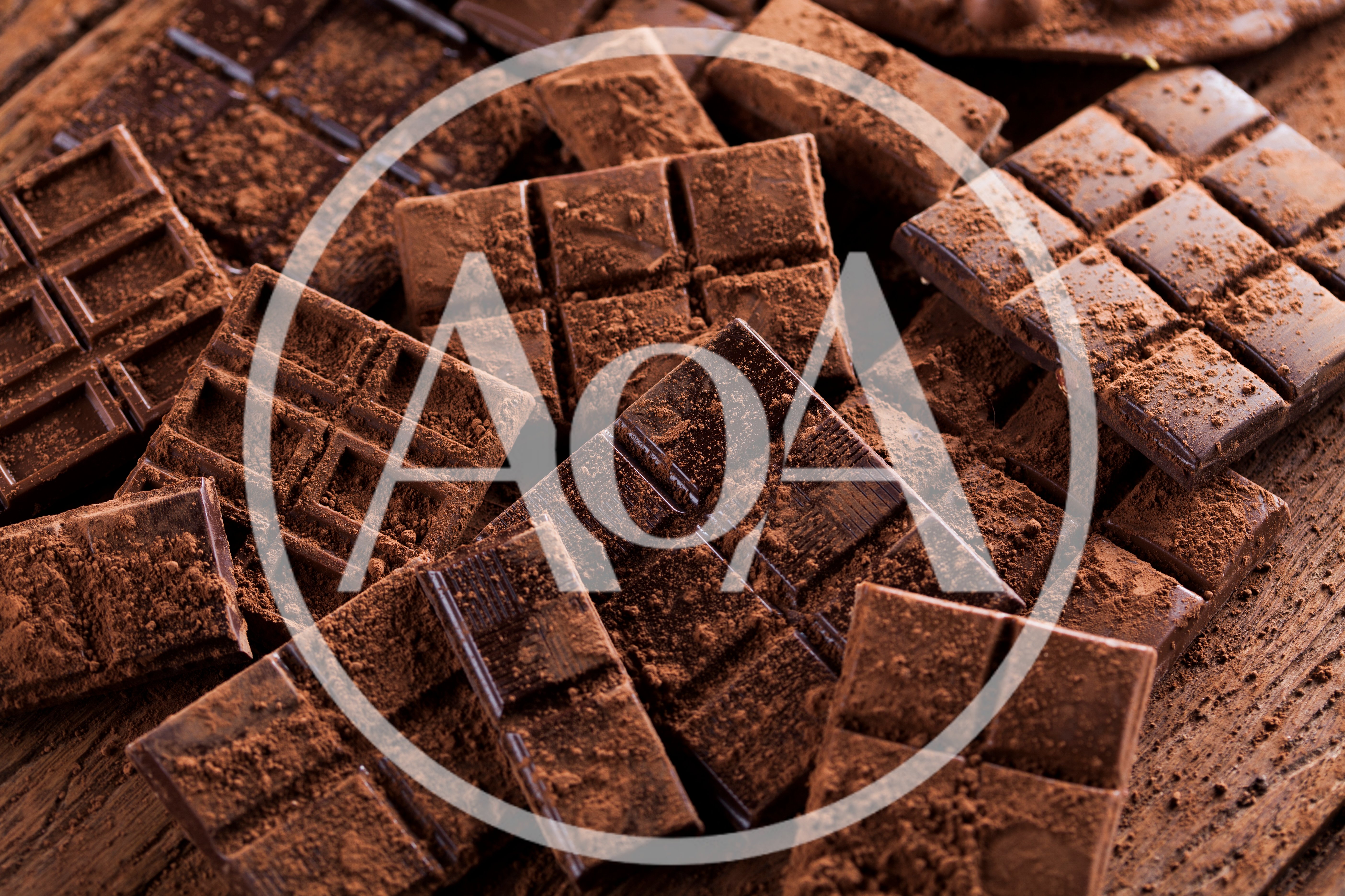 Dark Chocolate Bars Dusted With Cocoa Powder