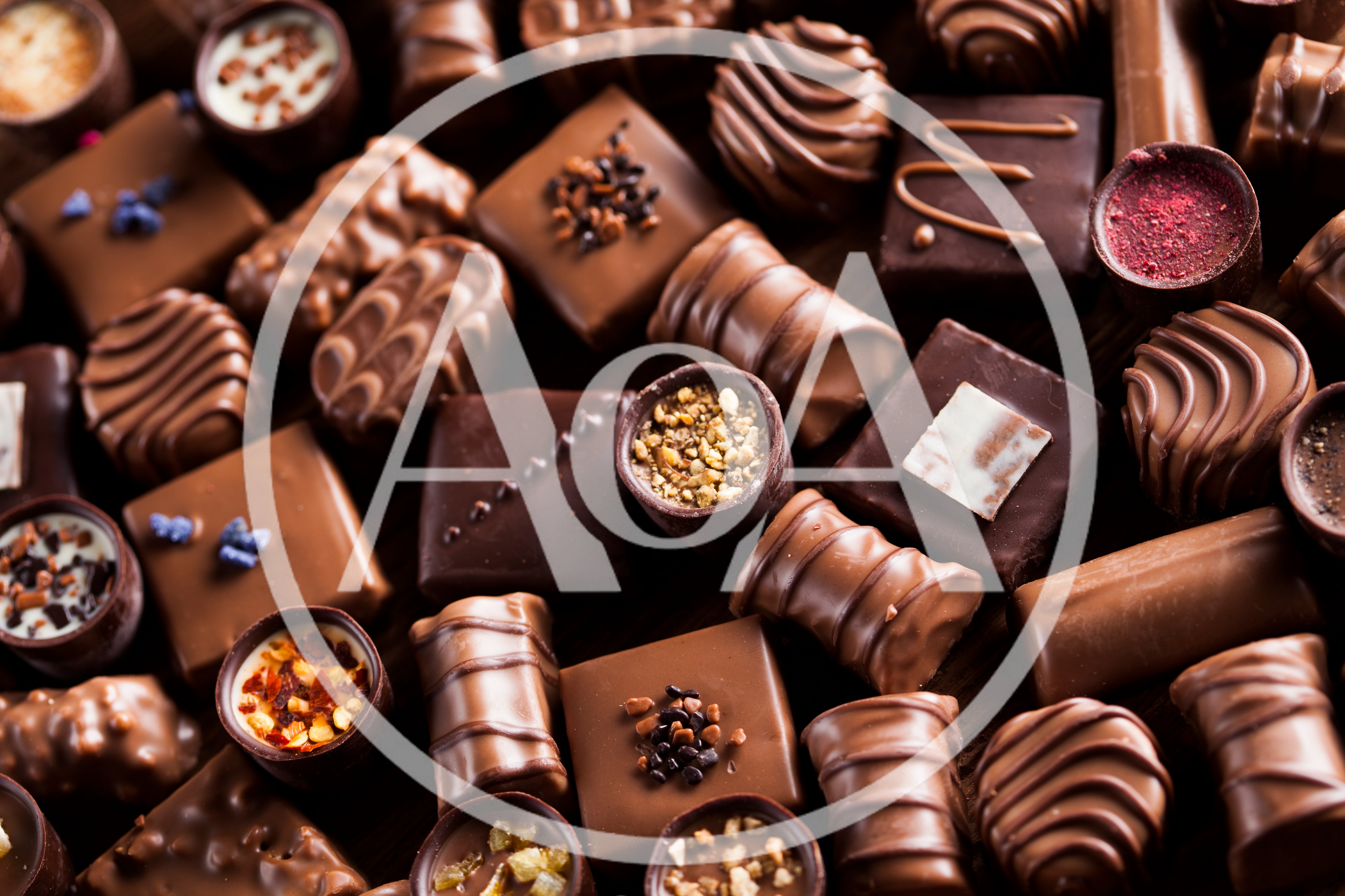 Assorted Gourmet Chocolate Pralines and Truffles