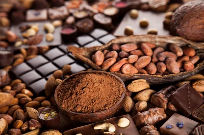 Assorted Chocolate Bars and Cocoa Beans