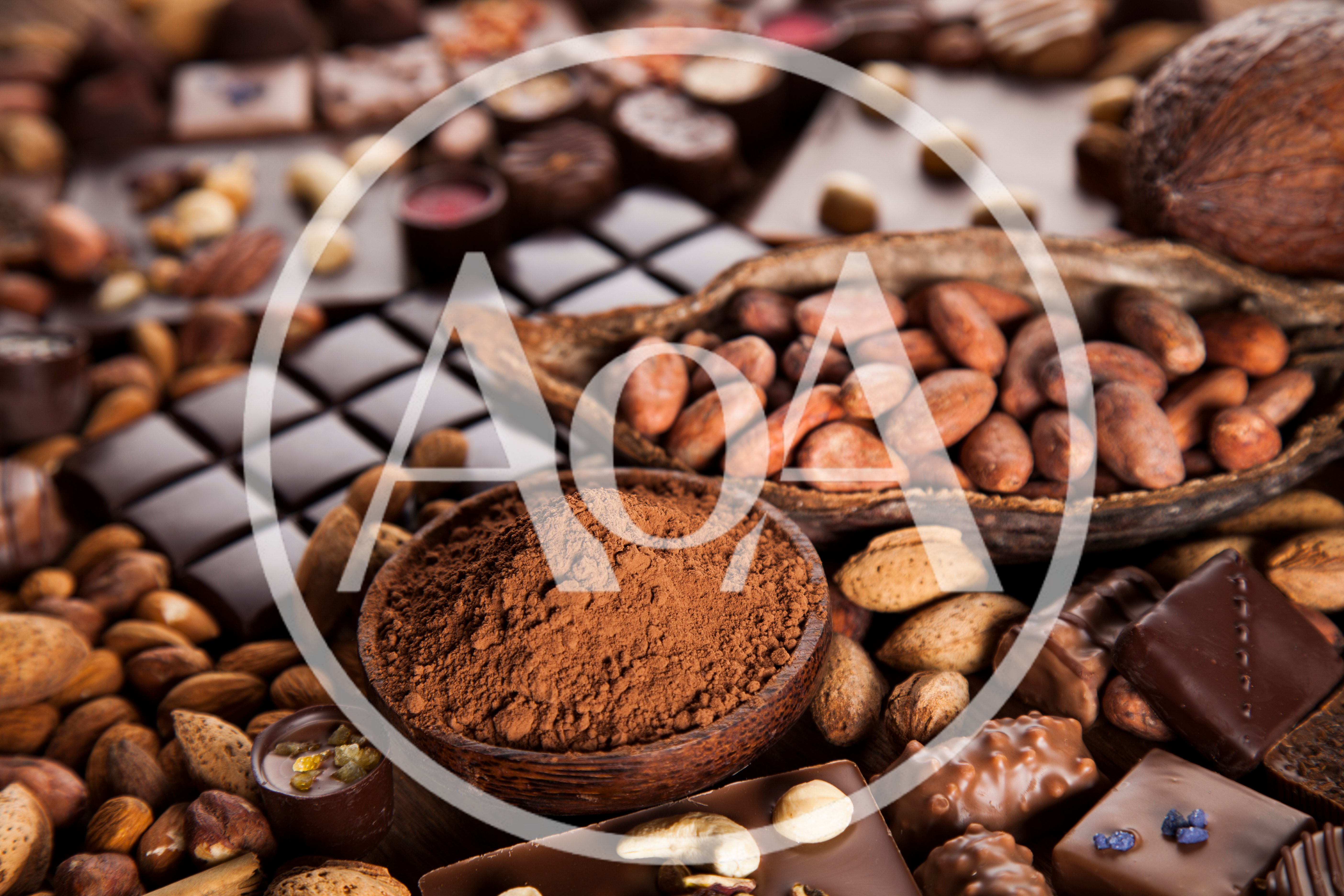 Assorted Chocolate Bars and Cocoa Beans
