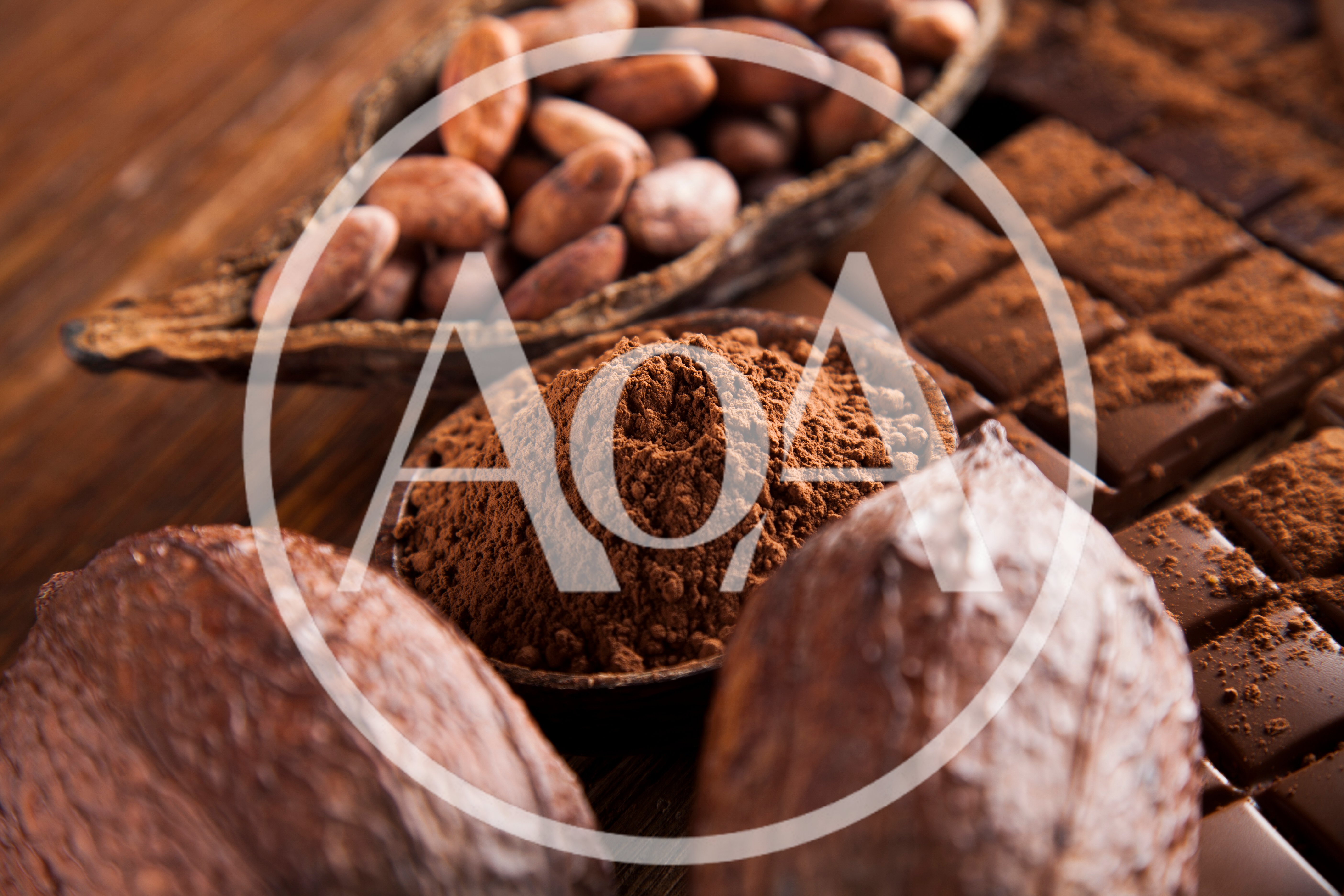 Cocoa Beans and Chocolate Bars on Wooden Table
