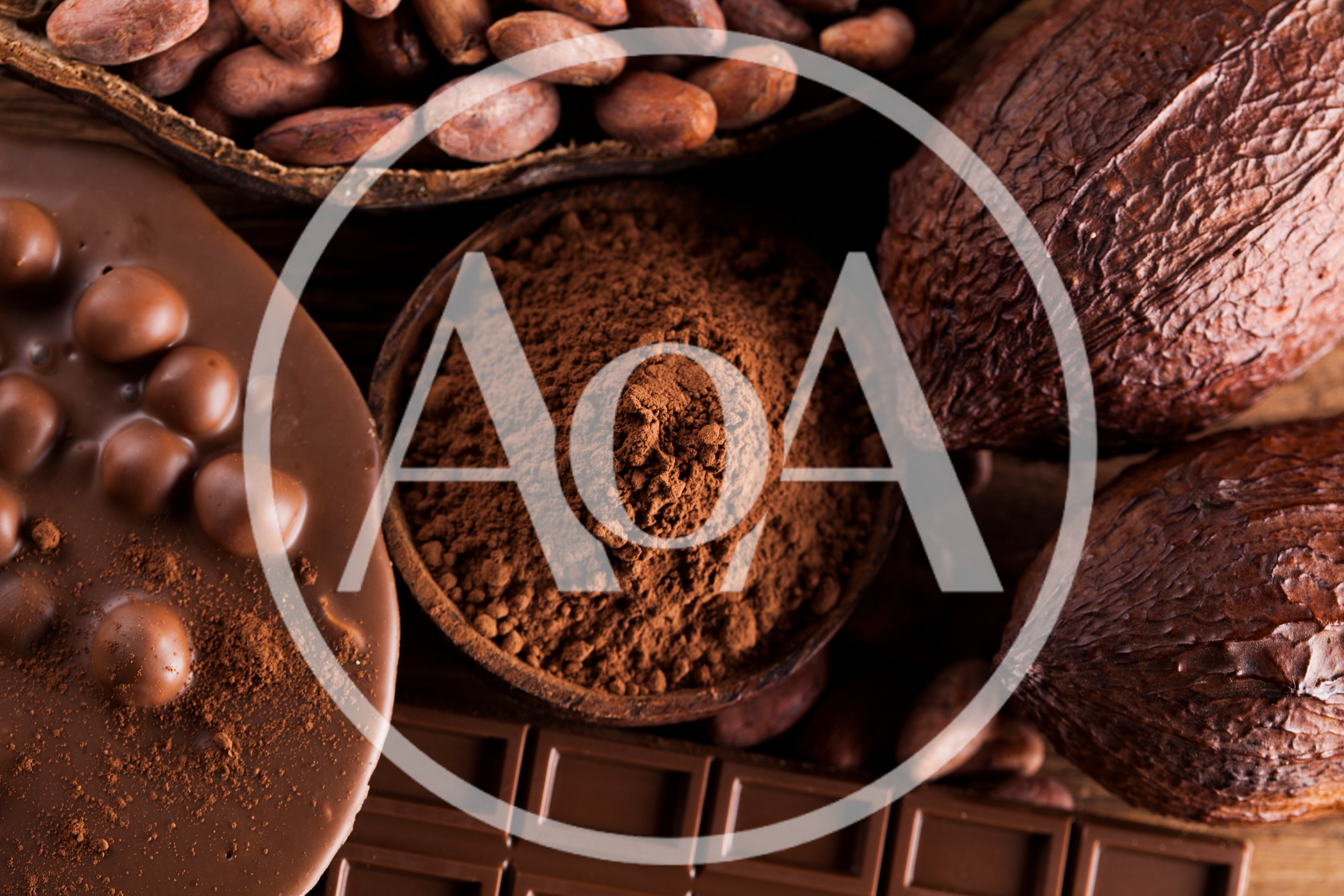 Top View Of Cocoa Beans And Chocolate Products