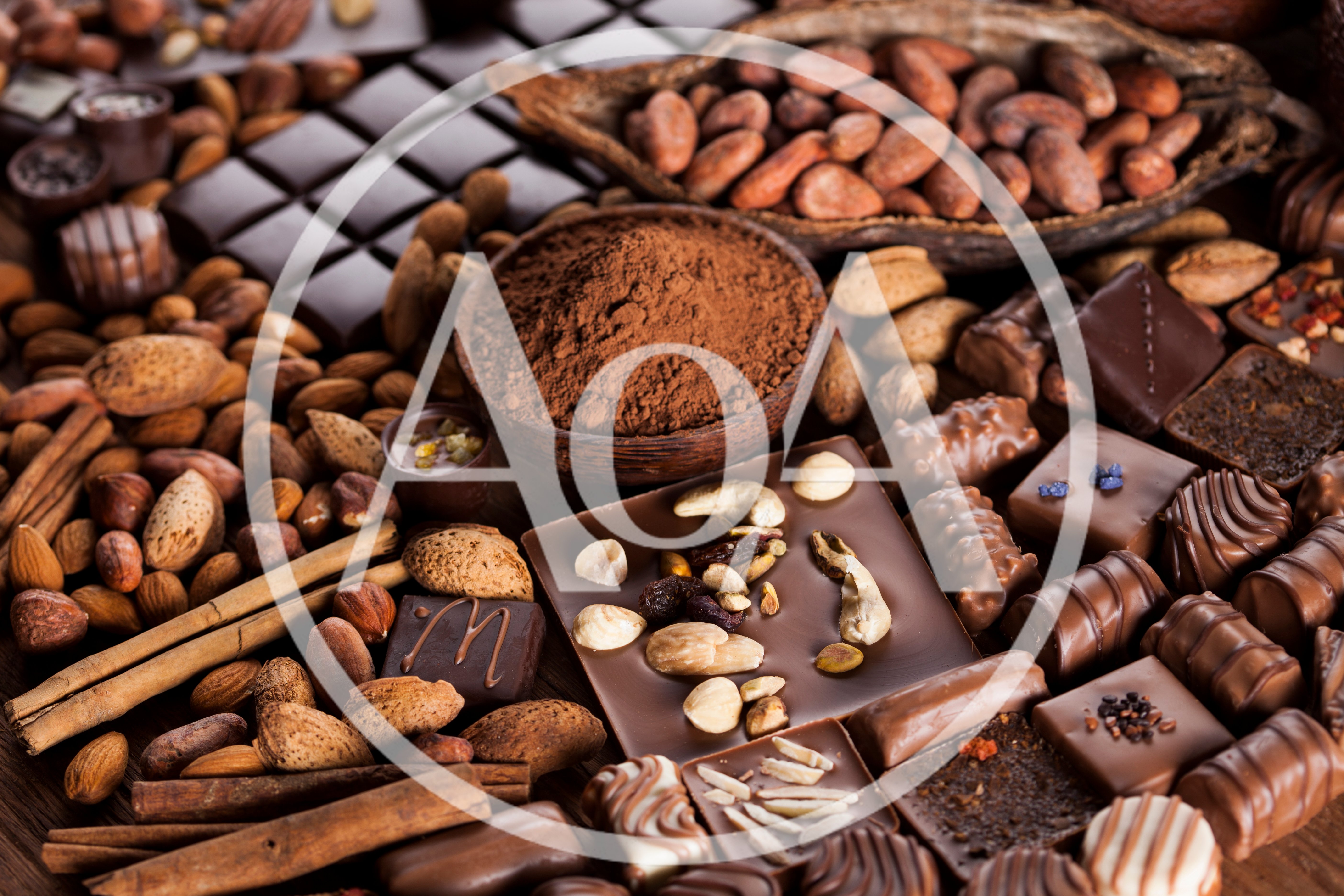 Assorted Gourmet Chocolates and Cocoa Ingredients
