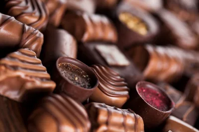Assorted Gourmet Chocolate Truffles and Pralines