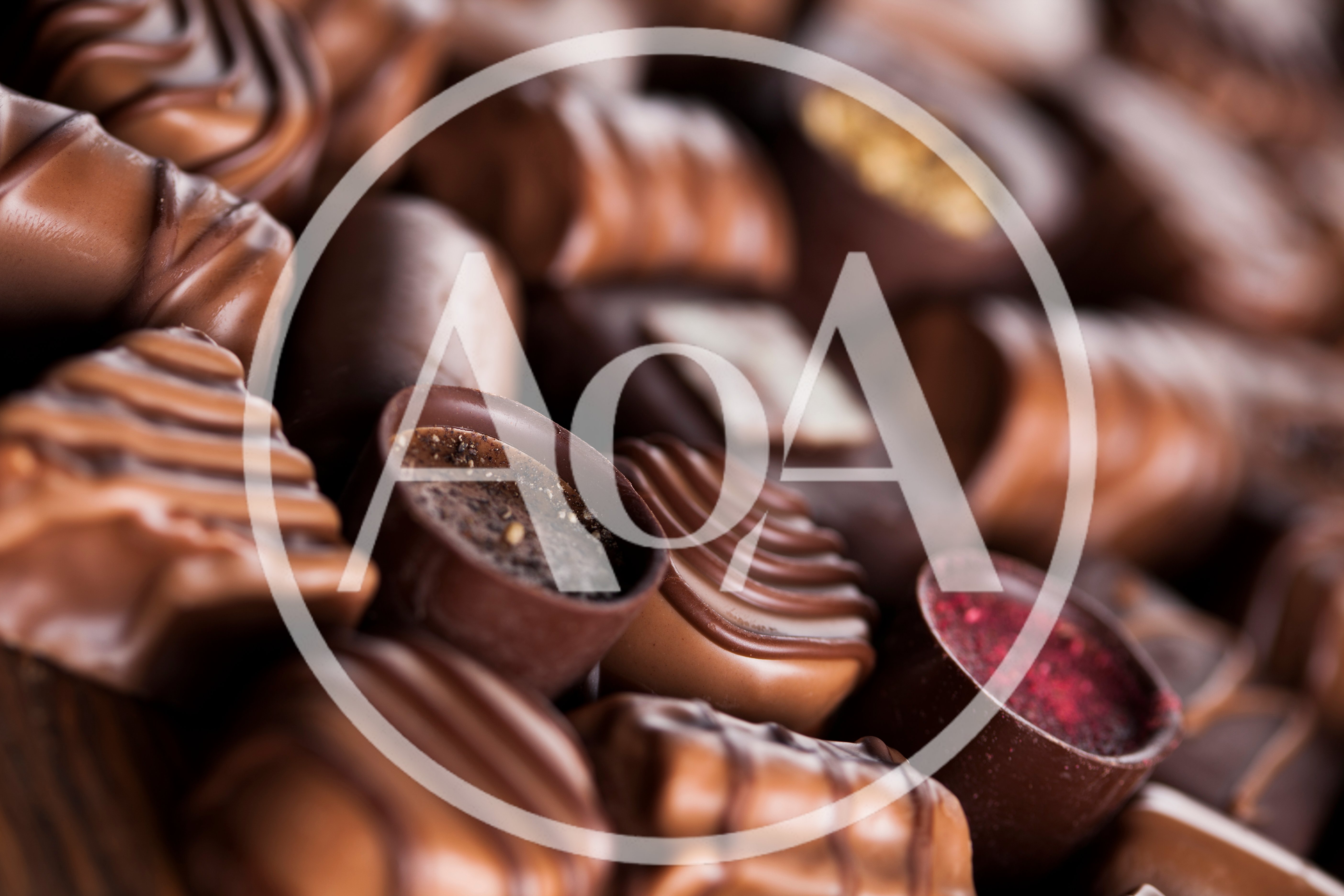 Assorted Gourmet Chocolate Truffles and Pralines