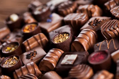 Assorted Gourmet Chocolate Pralines and Truffles