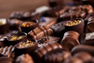 Assorted Gourmet Chocolate Pralines and Truffles
