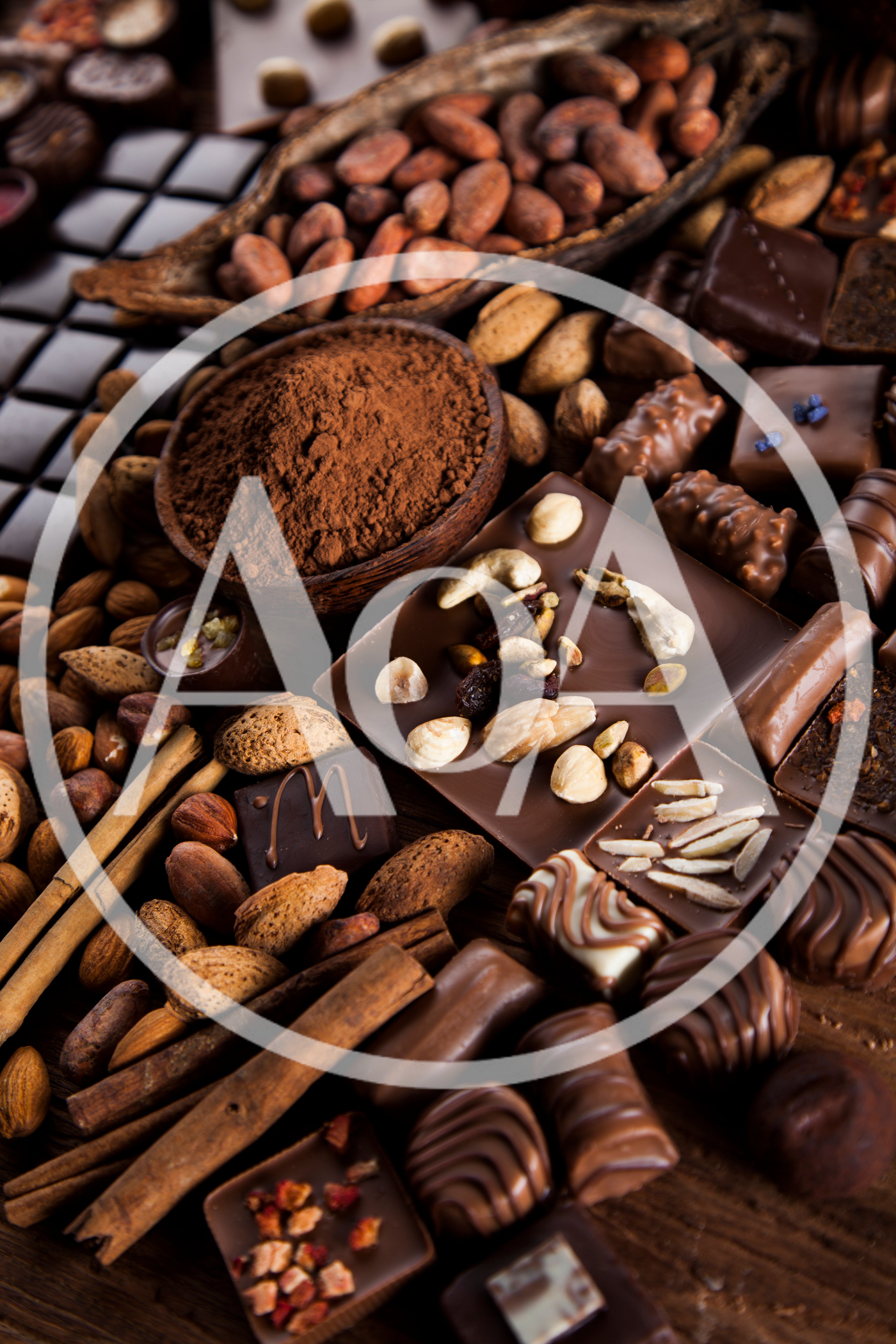 Assorted Gourmet Chocolates With Nuts And Cocoa Powder