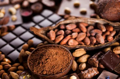 Assorted Chocolate Bars and Cocoa Beans