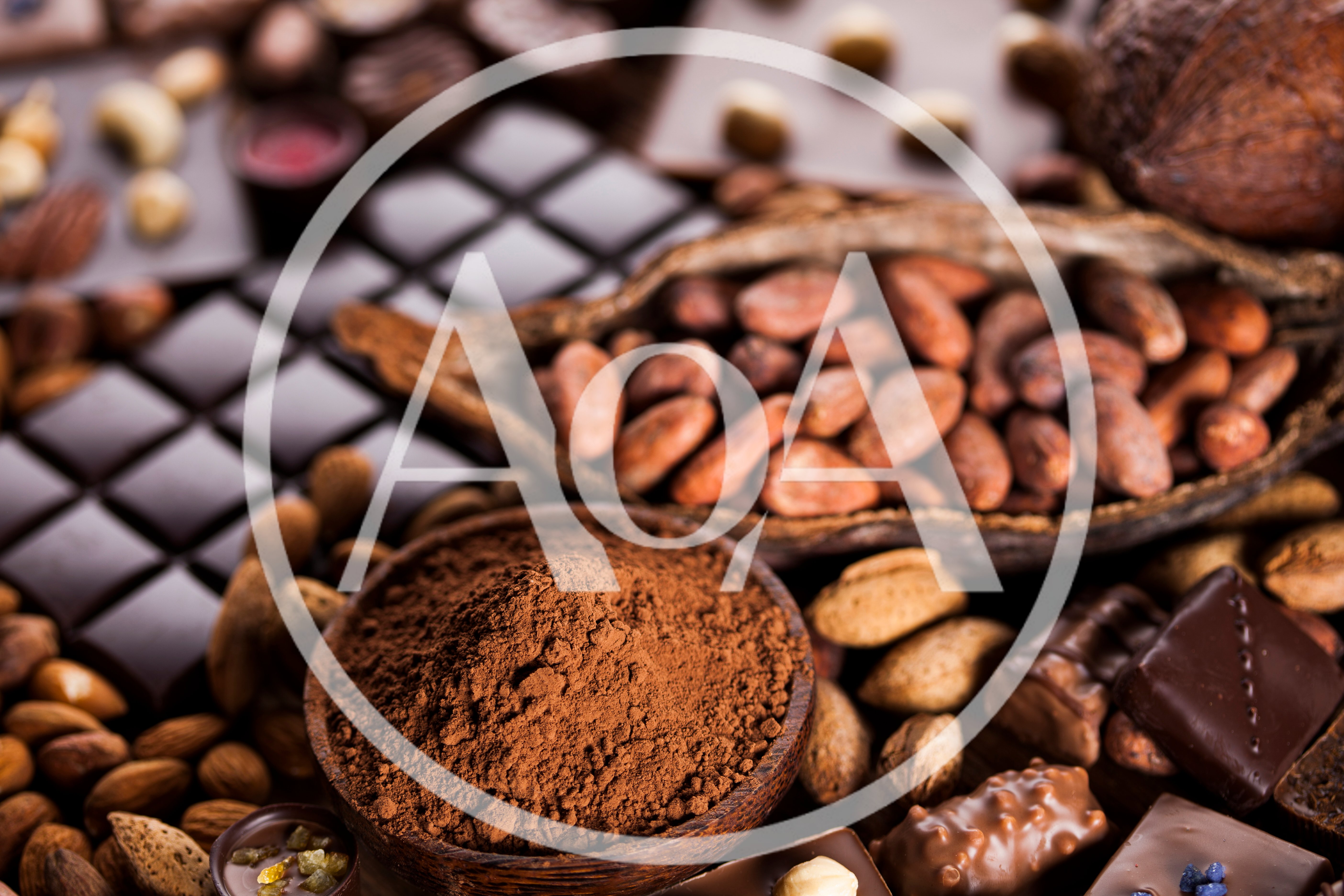 Assorted Chocolate Bars and Cocoa Beans
