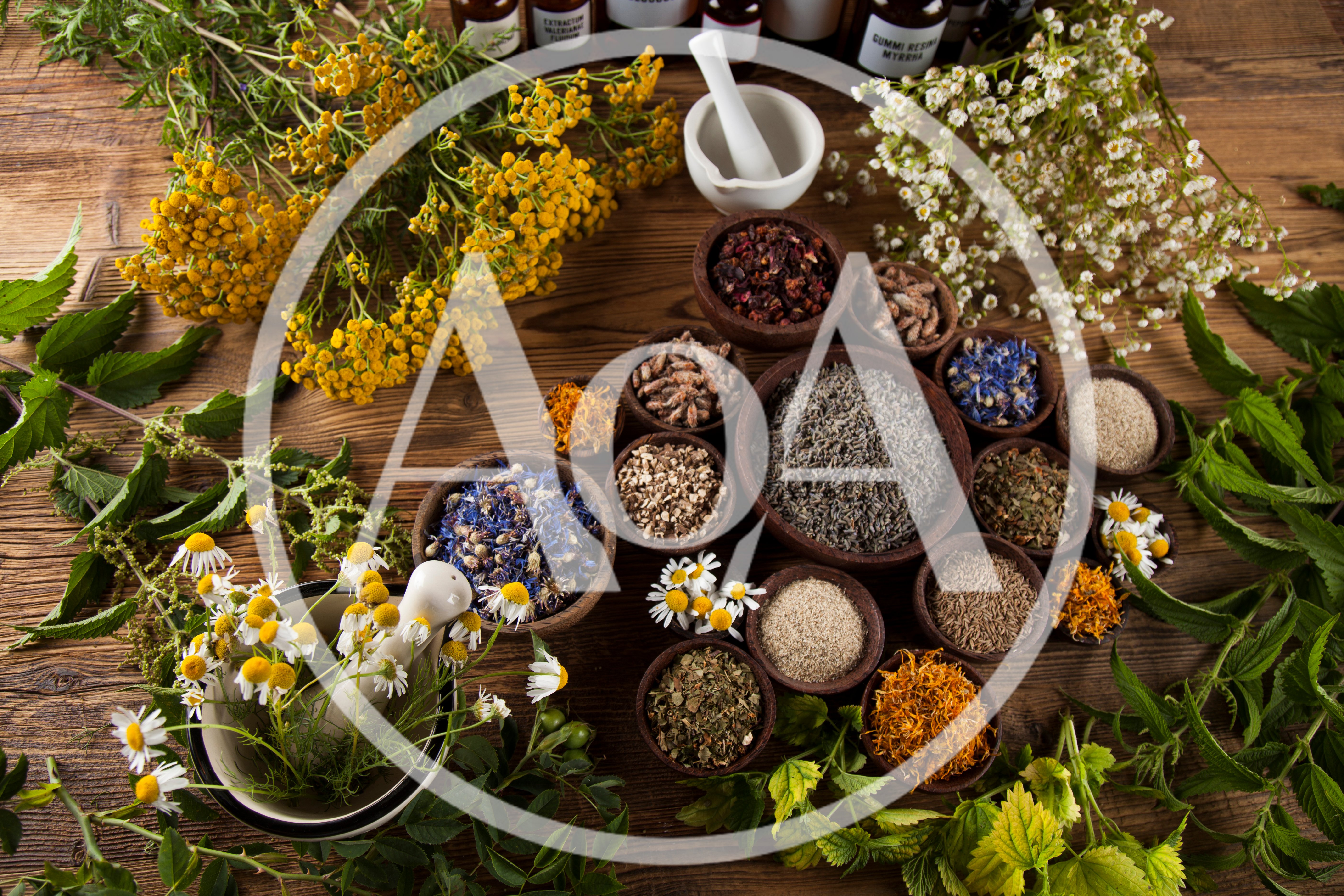 Assorted Dried Herbs And Flowers For Natural Medicine
