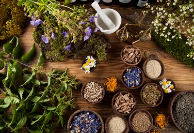 Herbal Medicine Preparation With Dried Herbs And Spices