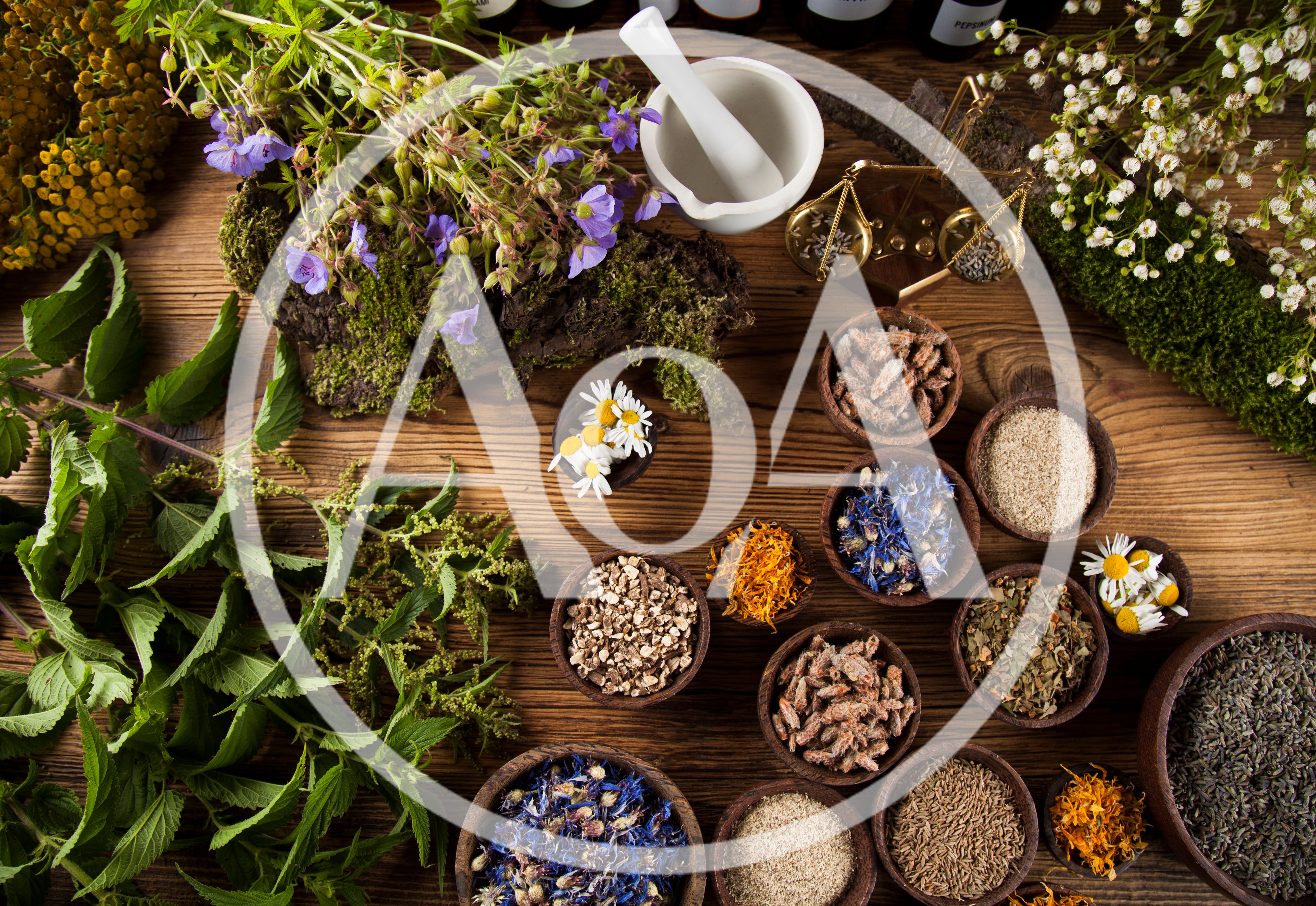 Herbal Medicine Preparation With Dried Herbs And Spices