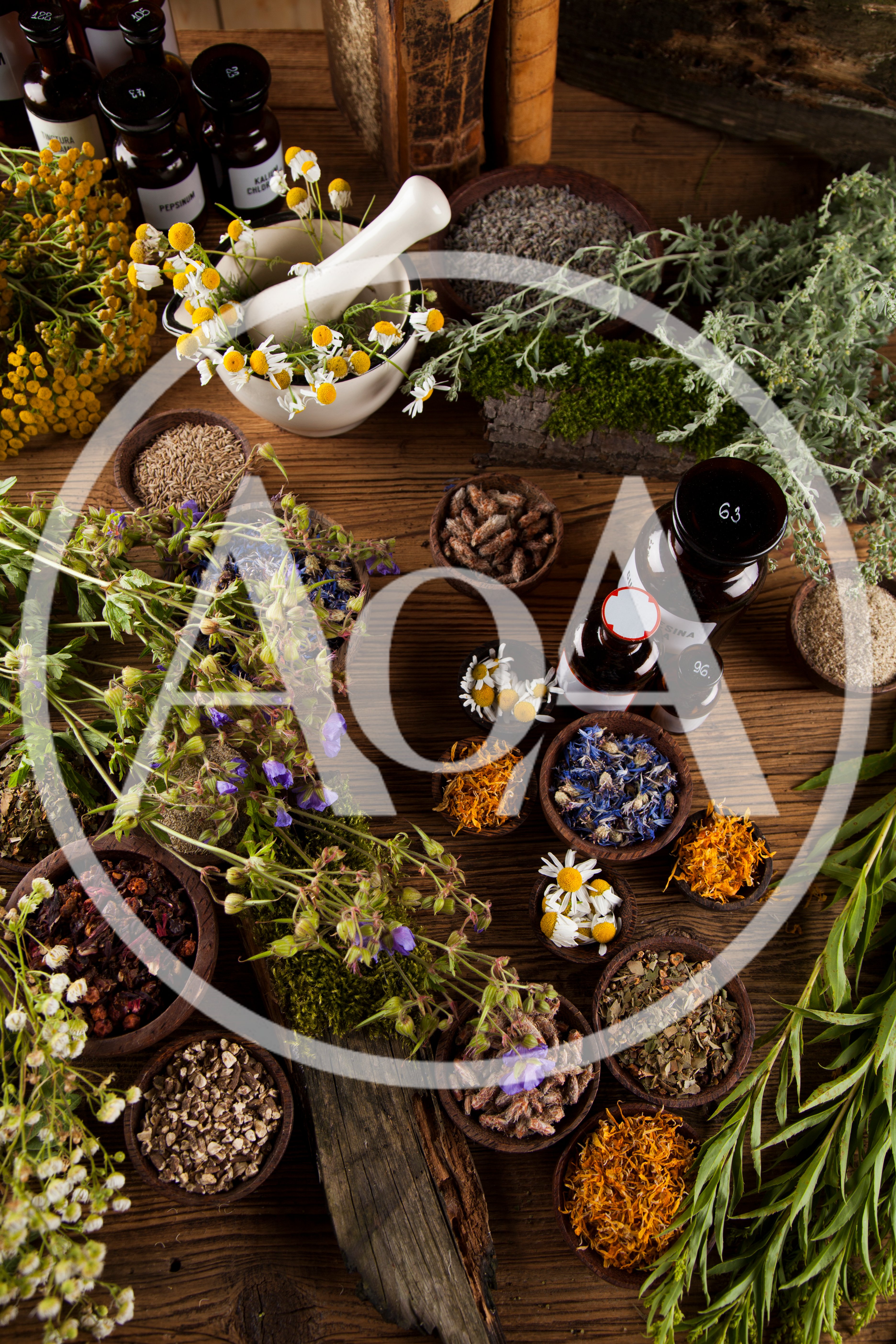 Herbal Medicine Preparation With Dried Herbs And Apothecary Bottles