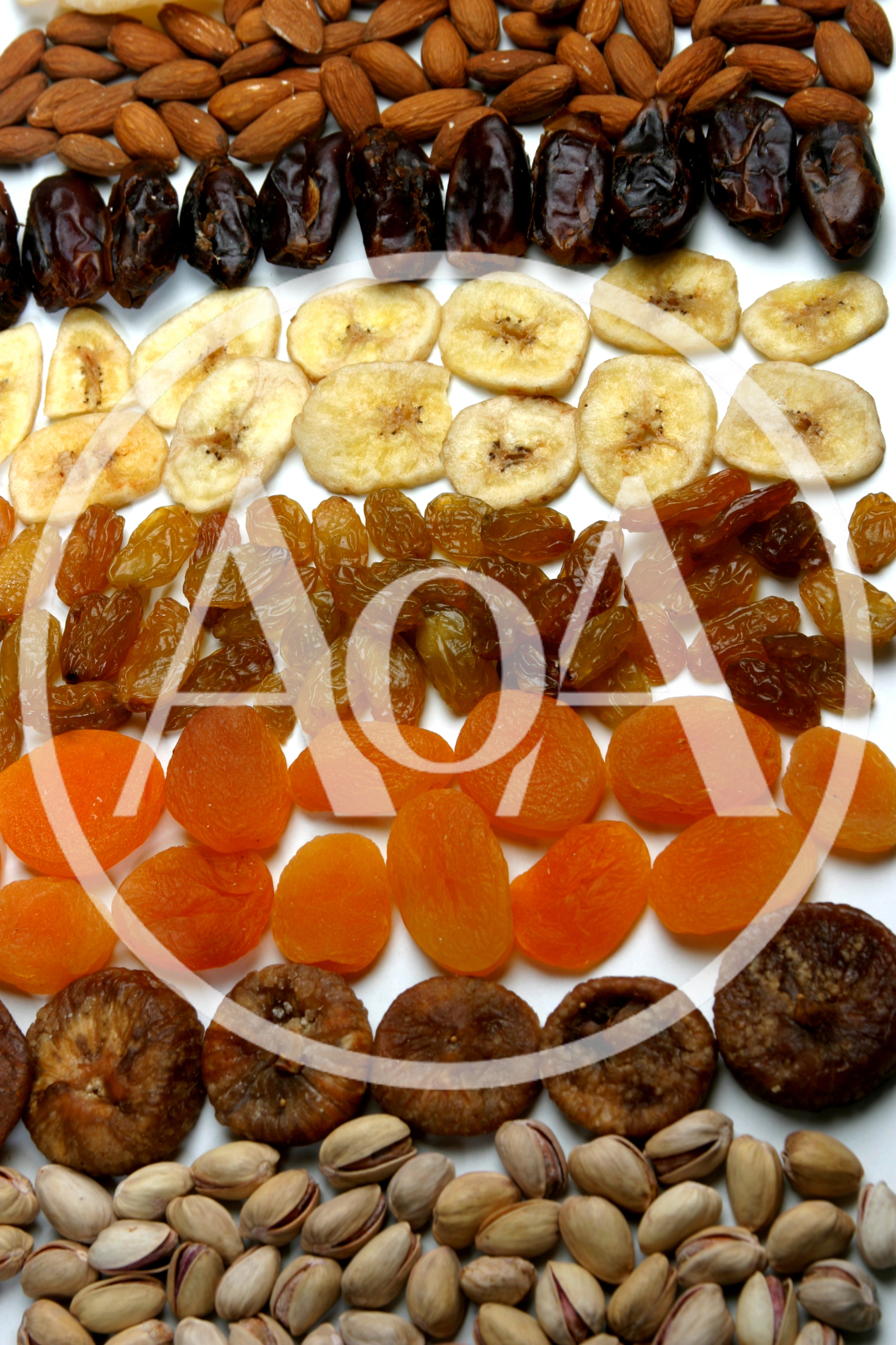 Assorted Dried Fruits and Nuts Arranged in Rows