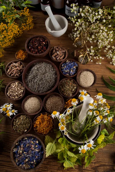 Herbal Medicine Preparation With Dried Herbs And Flowers