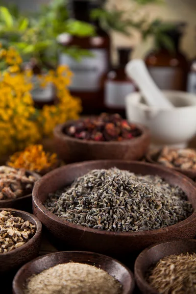 Assorted Dried Herbs and Spices in Wooden Bowls