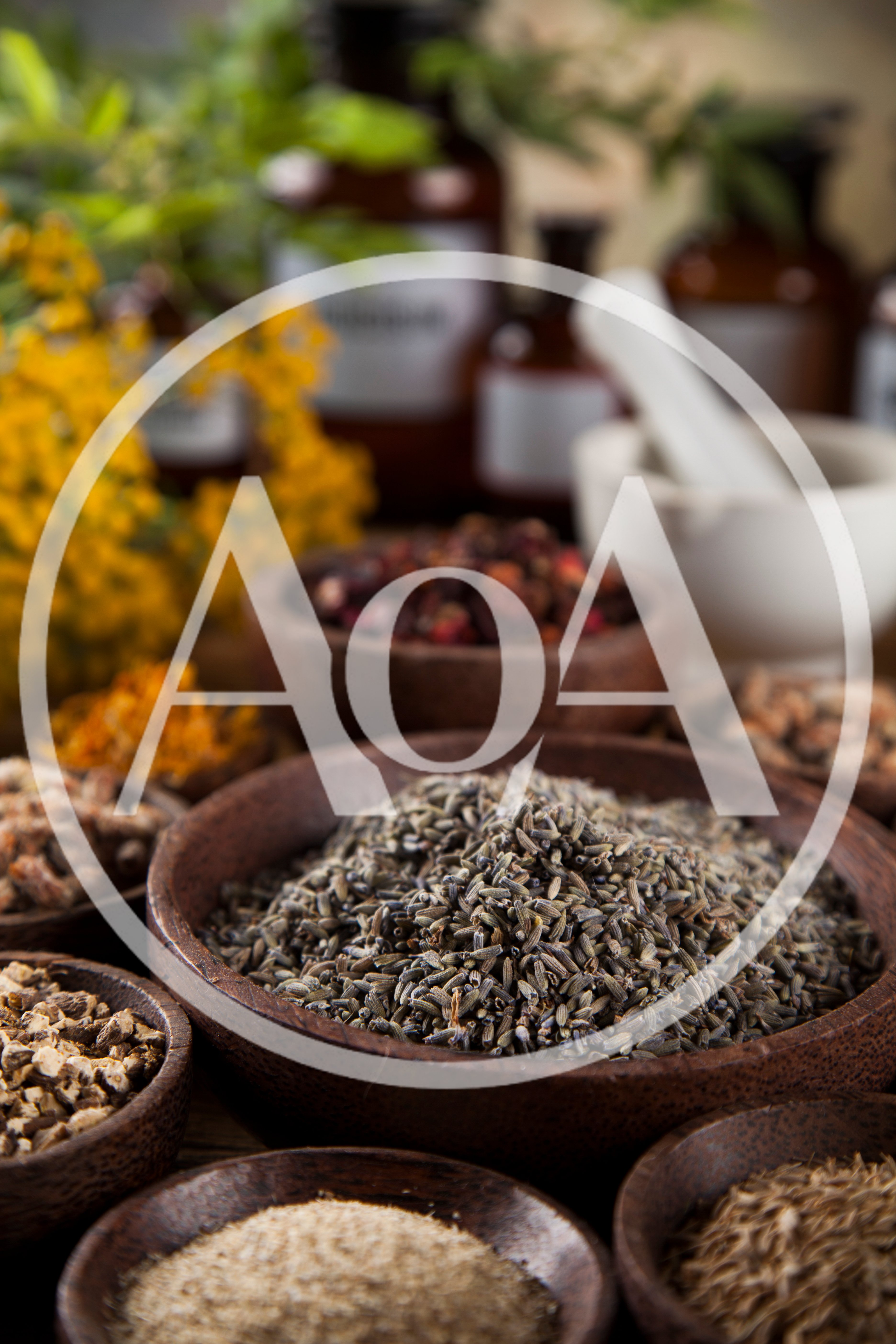 Assorted Dried Herbs and Spices in Wooden Bowls