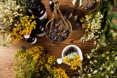 Herbal Medicine Preparation With Dried Flowers And Mortar