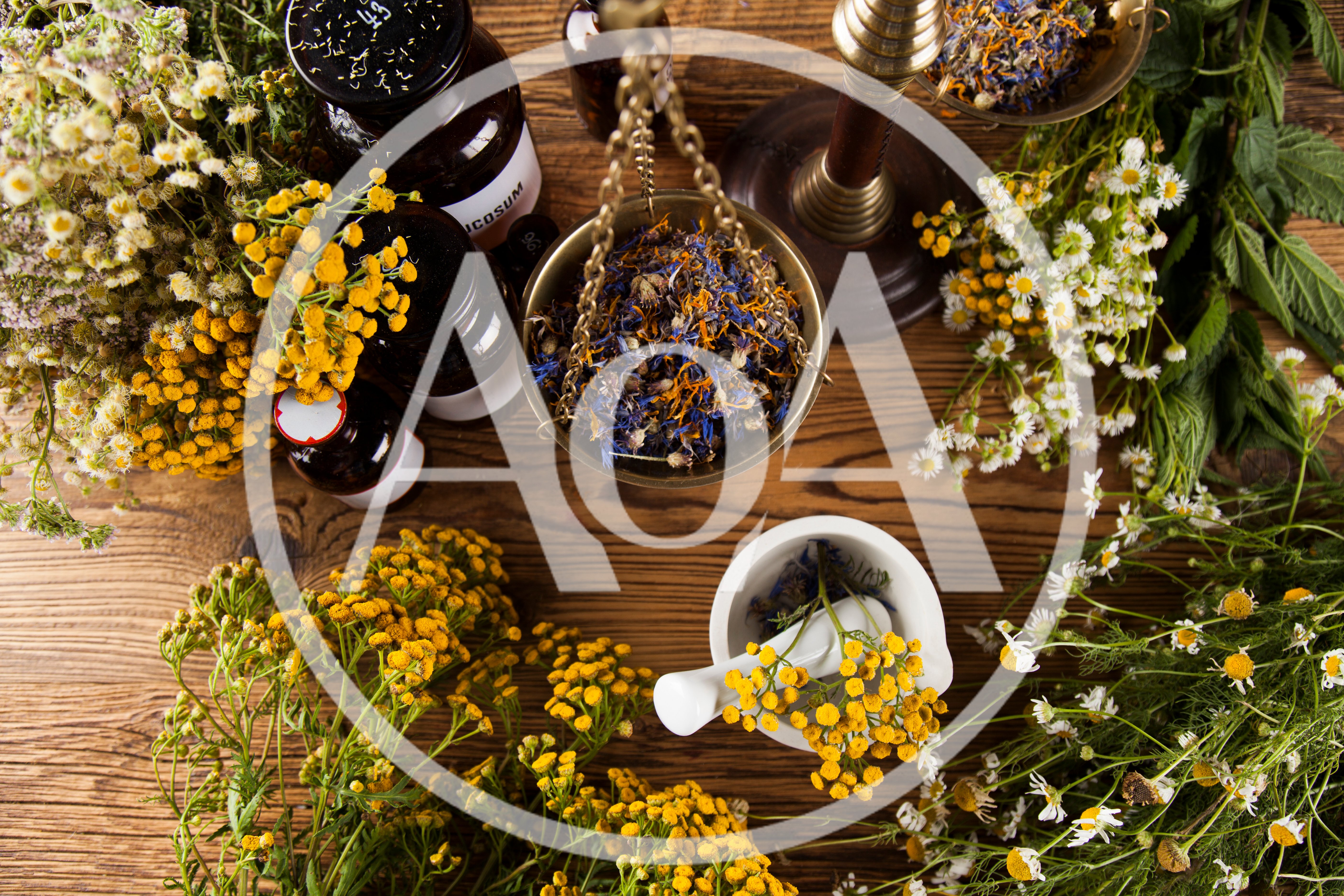 Herbal Medicine Preparation With Dried Flowers And Mortar
