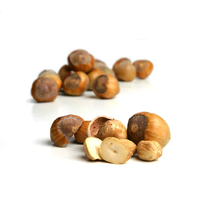 Fresh Hazelnuts With Shells On White Background