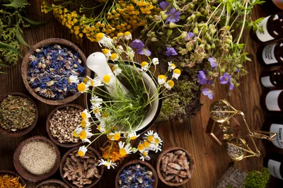 Herbal Medicine Preparation With Mortar And Pestle
