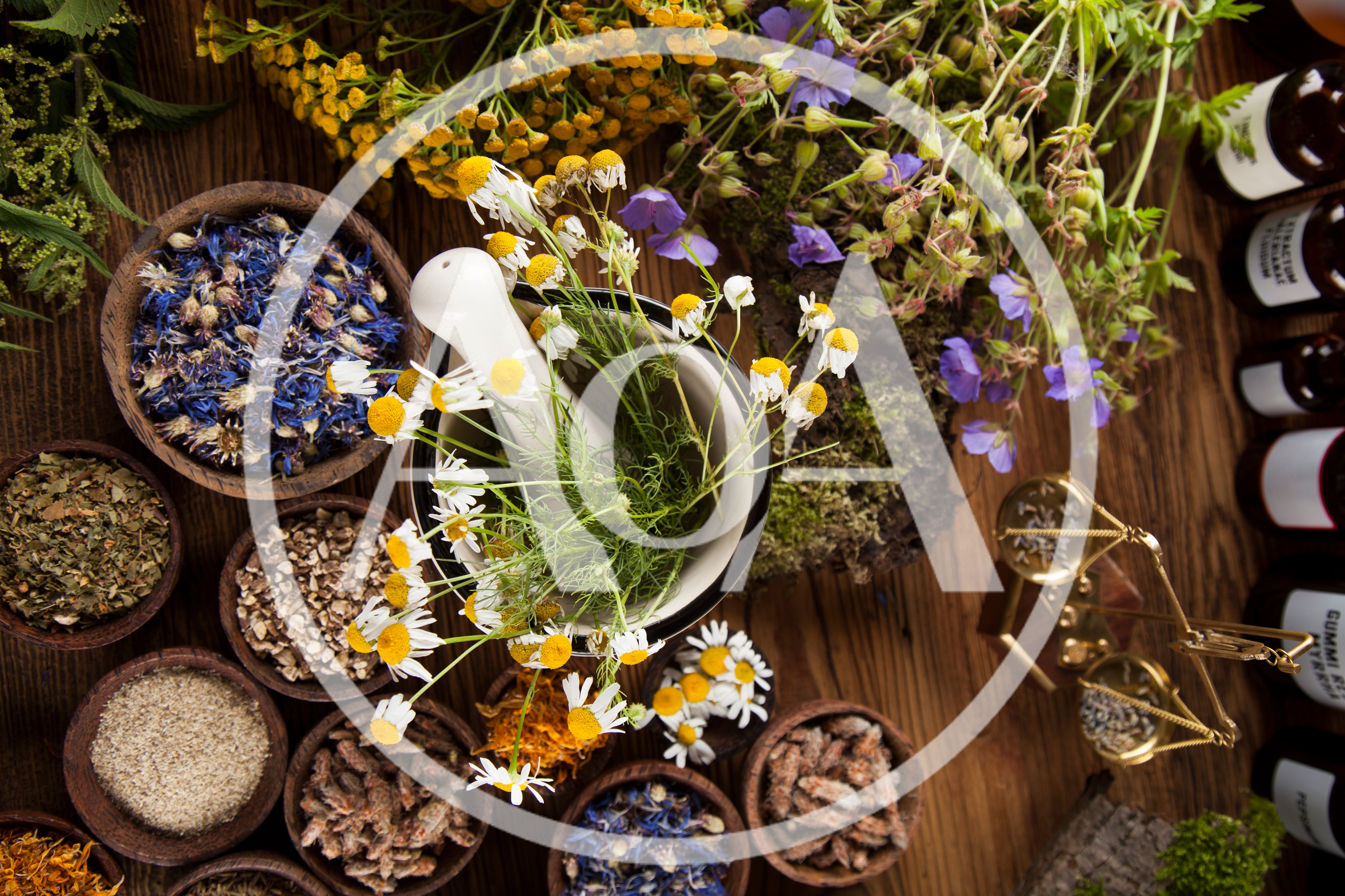 Herbal Medicine Preparation With Mortar And Pestle