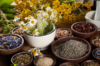 Assorted Dried Herbs and Chamomile Flowers in Bowls