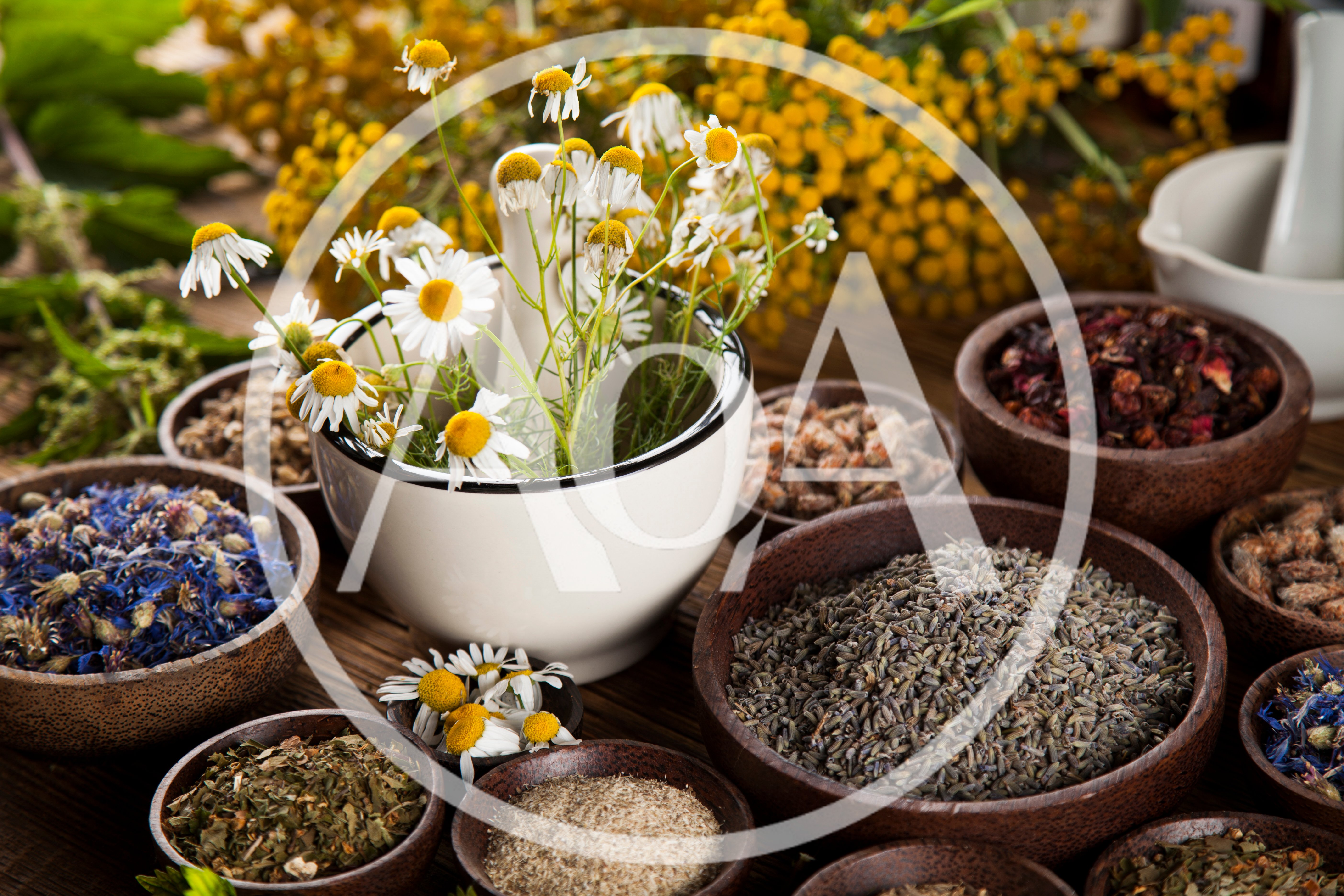 Assorted Dried Herbs and Chamomile Flowers in Bowls
