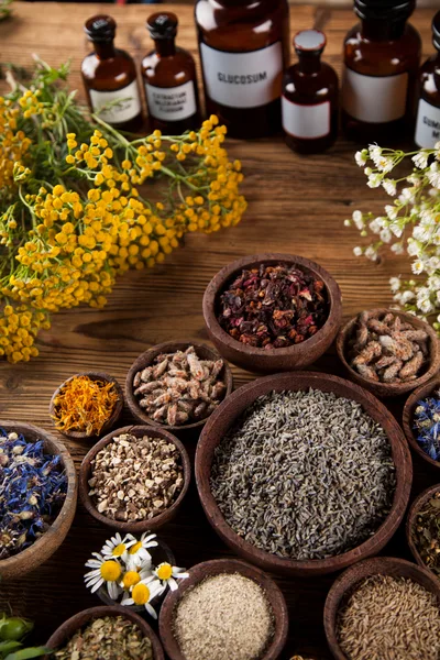 Assorted Dried Herbs And Medicinal Bottles On Wooden Table