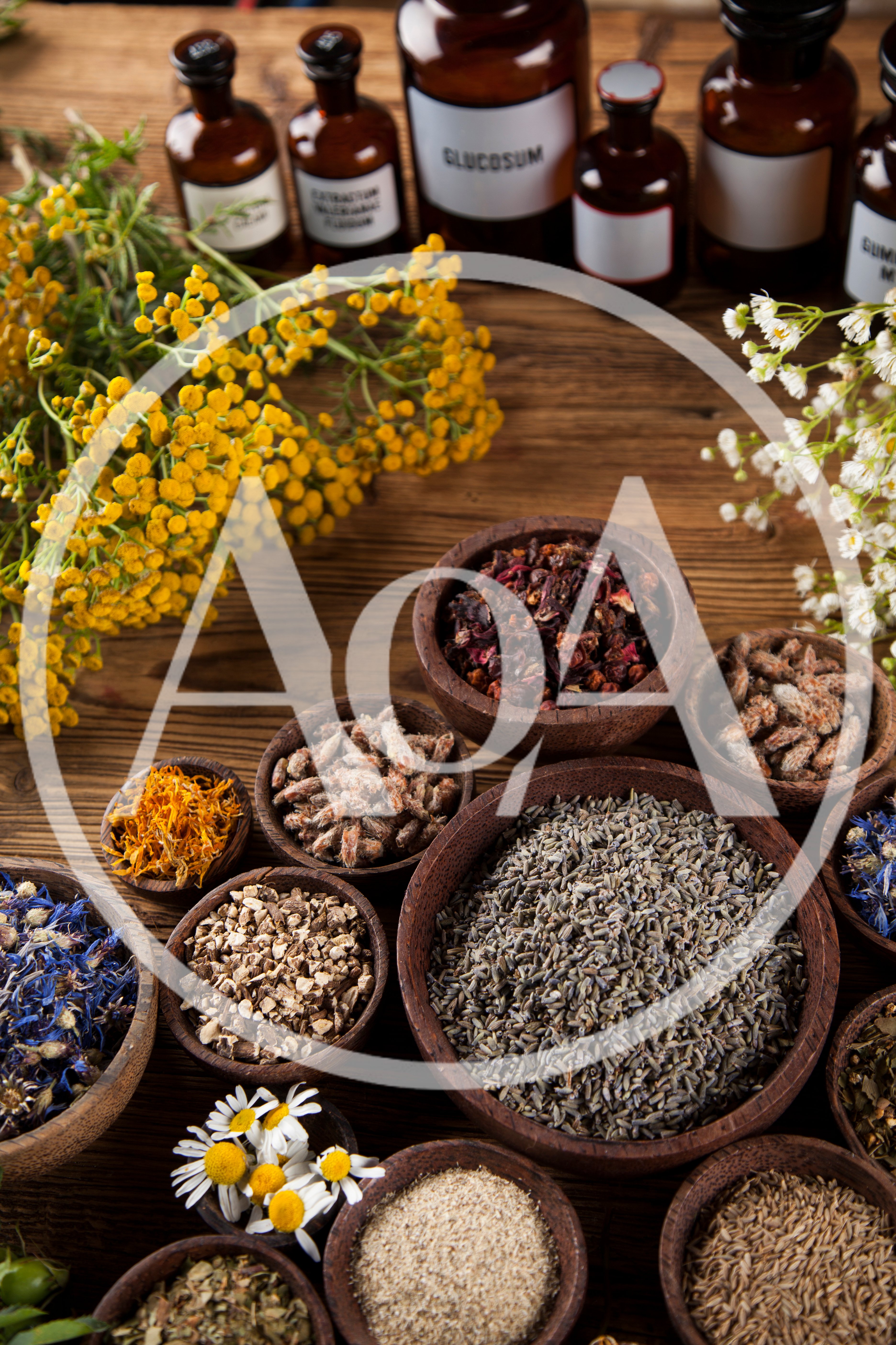 Assorted Dried Herbs And Medicinal Bottles On Wooden Table