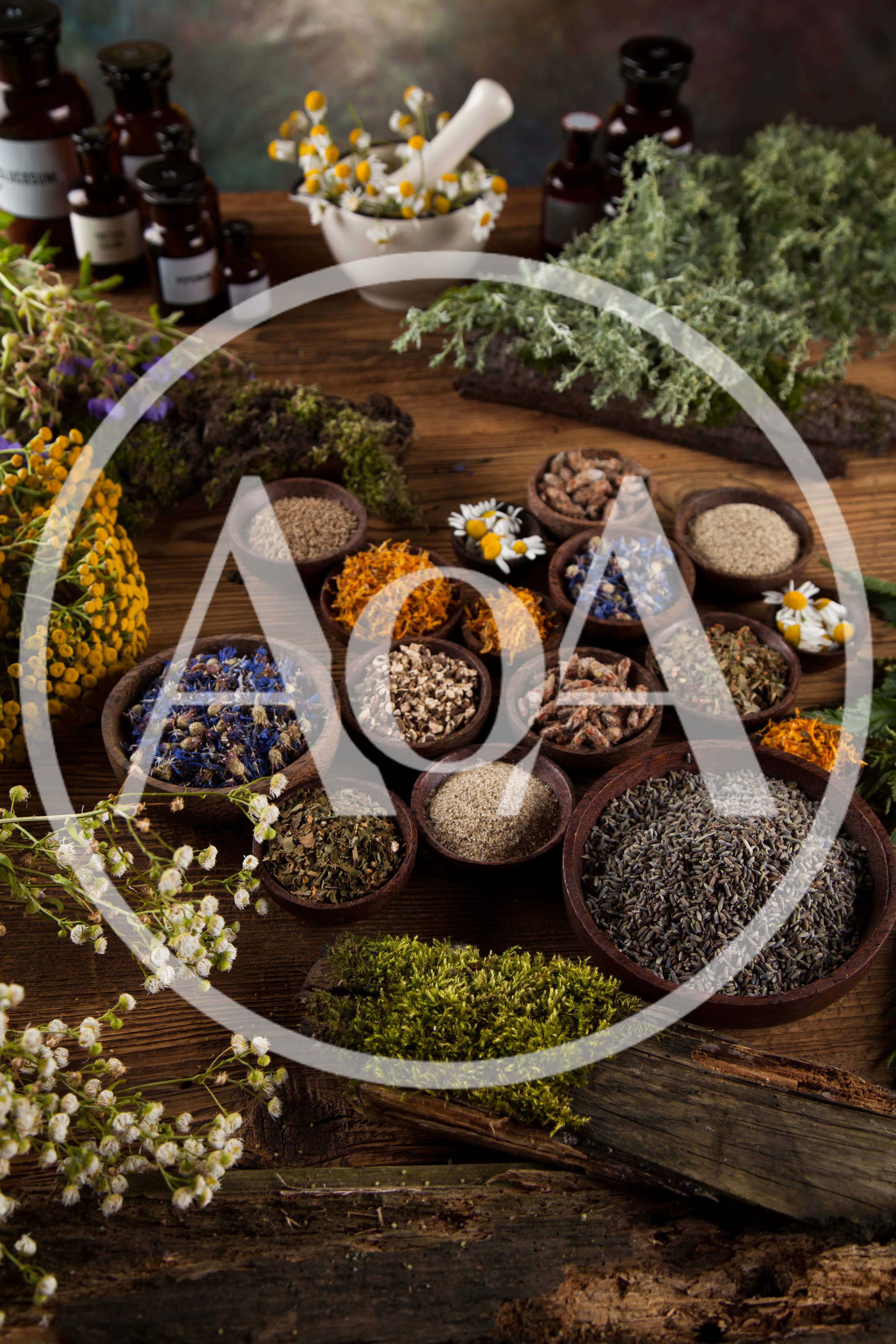 Herbal Medicine Ingredients And Dried Flowers On Wooden Table