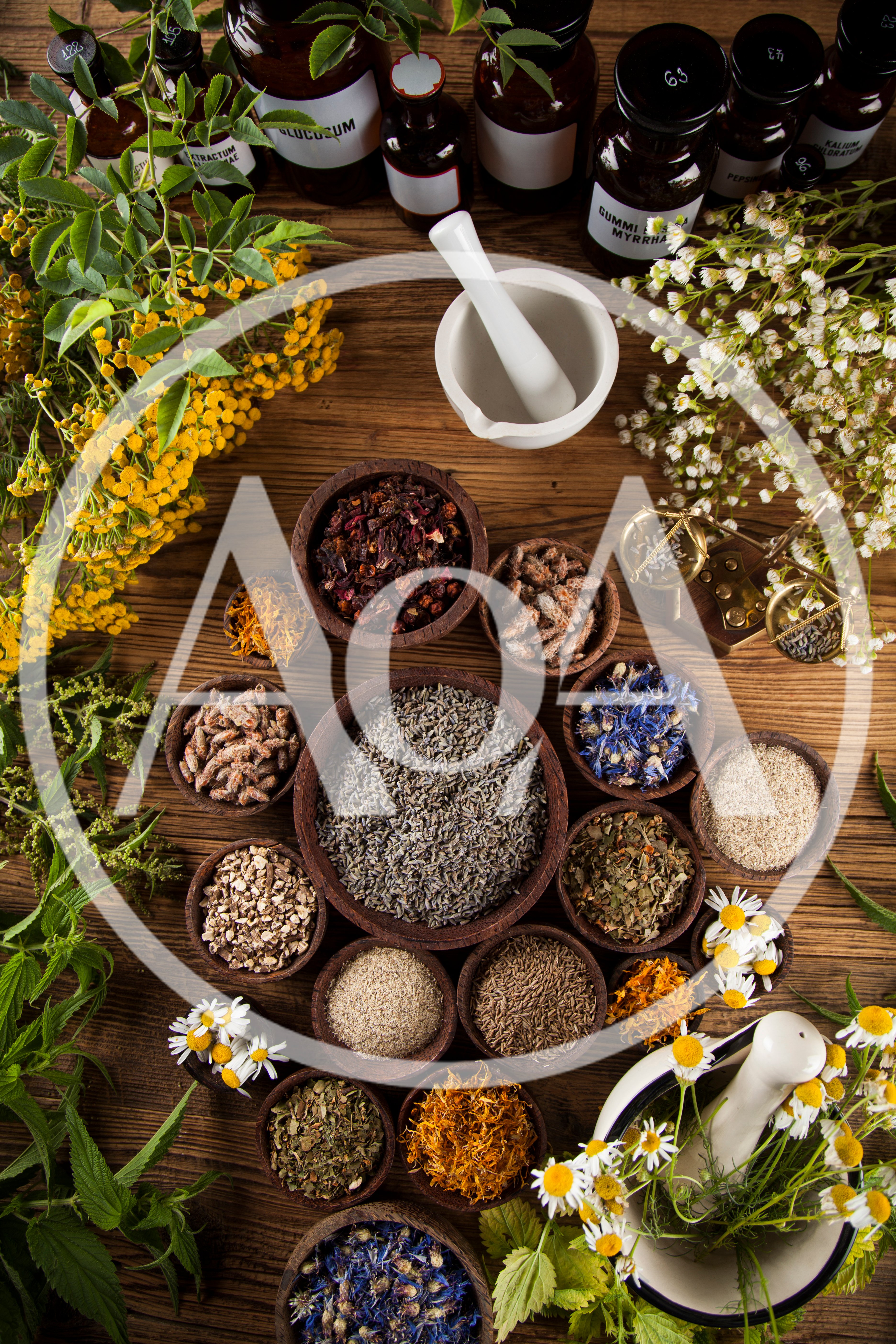 Herbal Medicine Preparation With Dried Herbs And Apothecary Jars