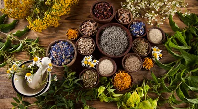Assorted Dried Herbs and Flowers for Natural Medicine
